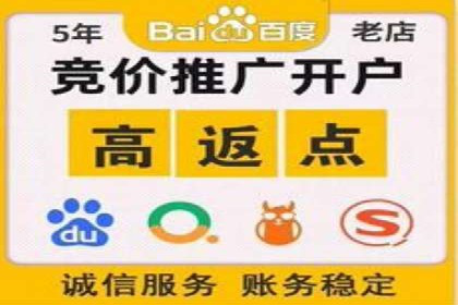 百度竞价广告投放策略：案例分析及效果评估